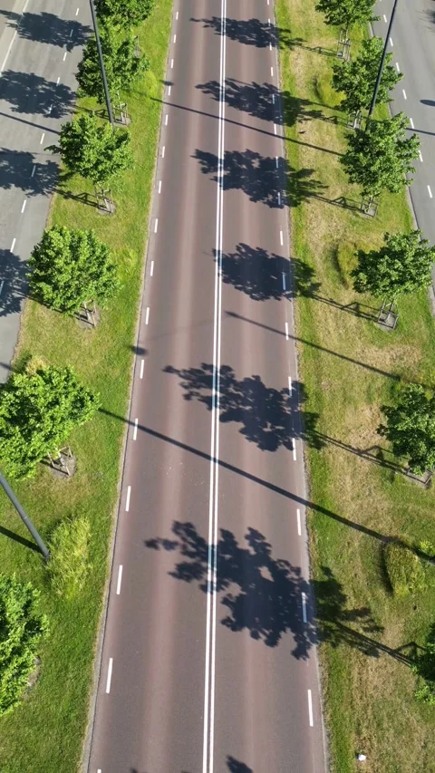 Road with trees on both sides v 5 Stock Footage 276506075