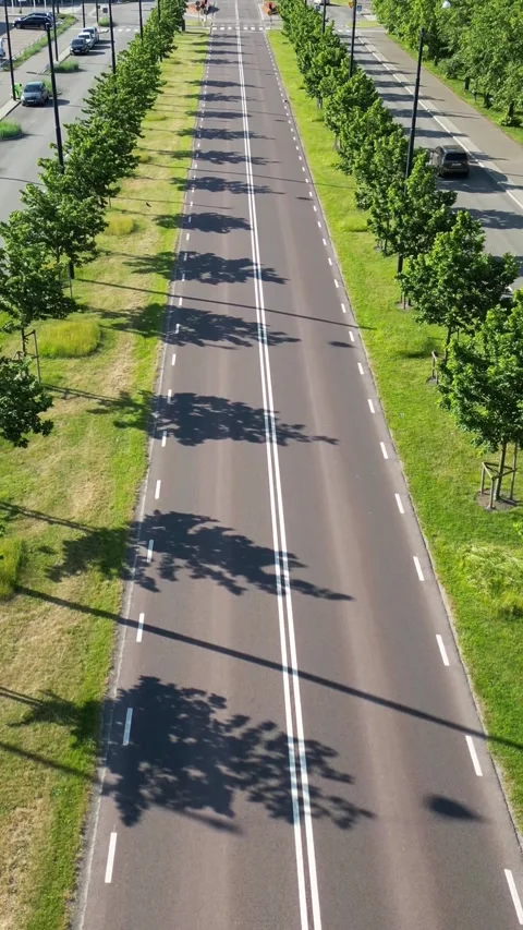 Road with trees on both sides v 8 Stock Footage 276506161
