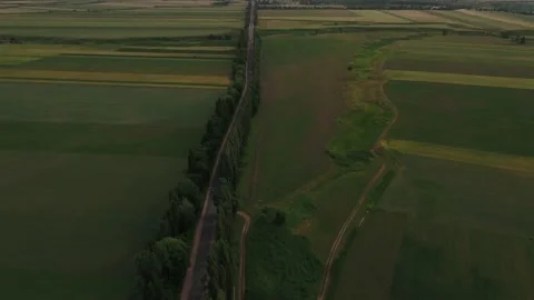 Road with trees Video stock 169612960