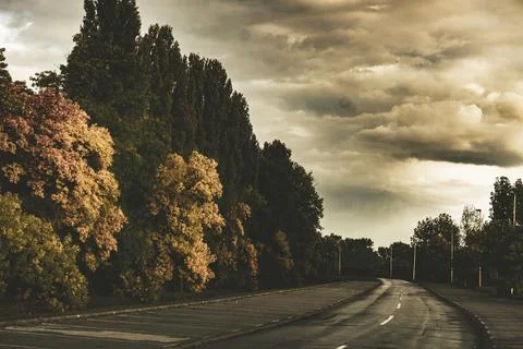 Road with trees growing on the sideway under a cloudy sky Foto stock