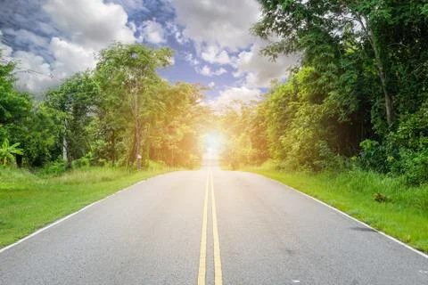 The road with trees on the side of the road, the idea of ??strengthening the  Stock Photos