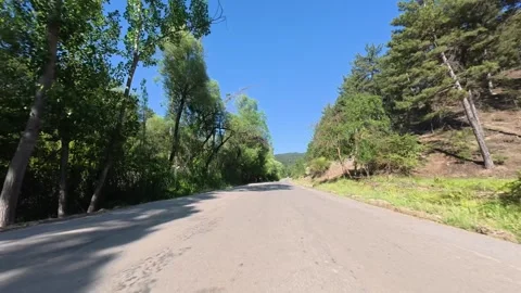 Road trees sky Stock Footage 318403914