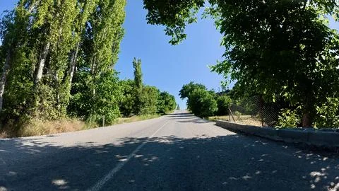 Road trees sky Foto stock