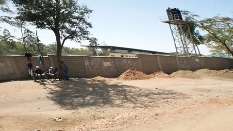 Road trees wall Stock Footage 168529594