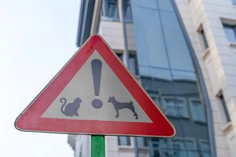 Road triangular sign red-white protection of street animals image of cat, dog Stock Photos