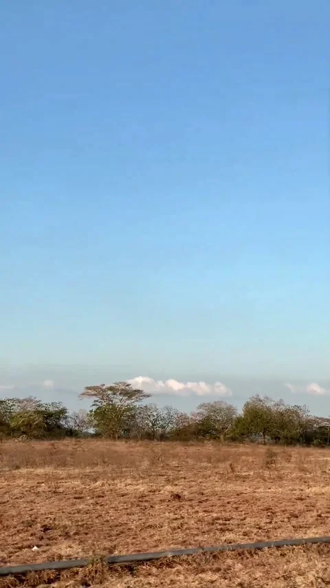 Road trip across savannah or a tropical savannah national park 스톡 동영상 287594341