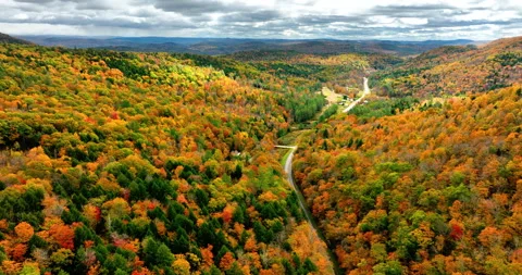 Road trip fall aerial background. Drone flying above mountain road Stock Footage 302591294