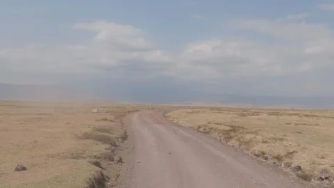 Road trip Stock Footage 274452616