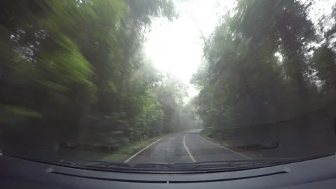 Road trip Stock Footage 294765640