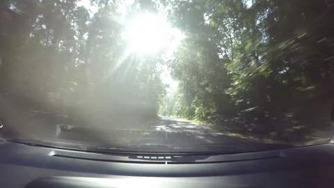 Road trip in the forest Stock Footage 296283181