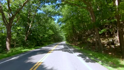 Road Trip into Forest with Tree shadows on the road Stock Footage