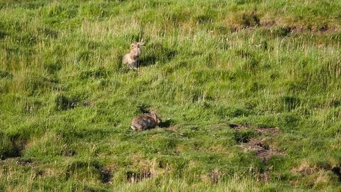 Road trip Pennines Video stock 79999092