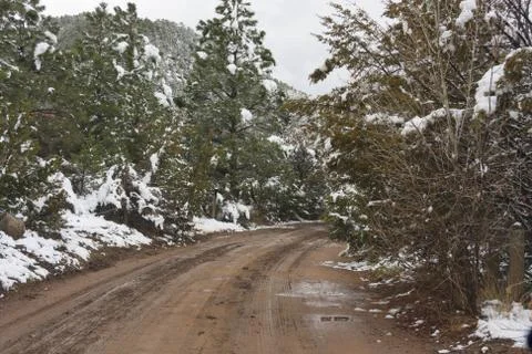 Road Trip Foto stock