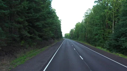 Road trip into pine forest Stock Footage 140582126