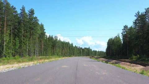 Road Trip into pine forest with tree shadows on the road Stock Footage 140582018