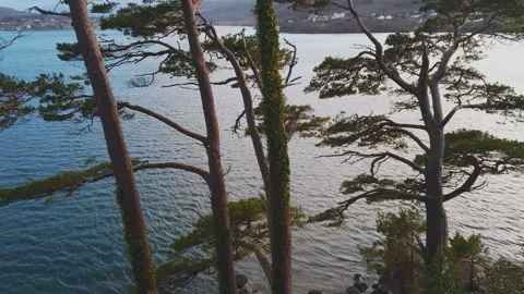 Road trip in Scottish highlands Stock-Footage 263375637