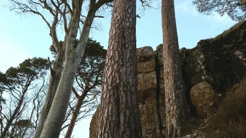 Road trip in Scottish highlands Stock-Footage 263376329
