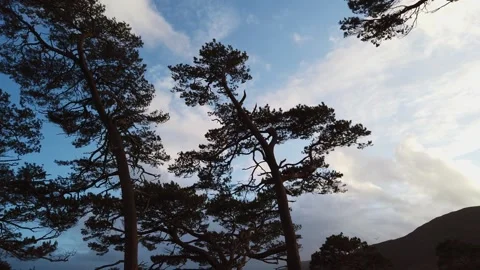 Road trip in Scottish highlands Stock-Footage 263377697