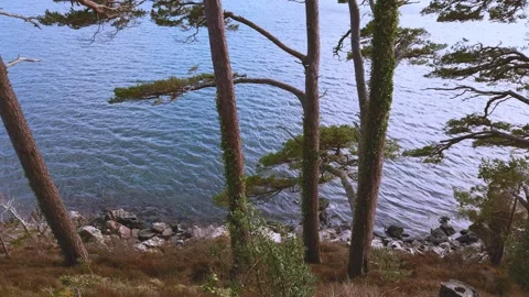Road trip in Scottish highlands Stock-Footage 263380217