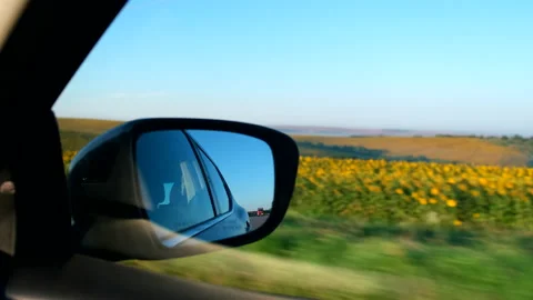 Road trip side view from the car sunflowers field with blue sky Stock Footage 211808892