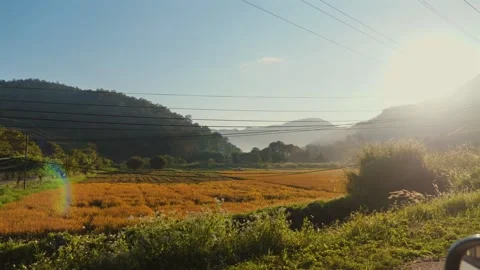 Road trip through beautiful views on summer day. Stock Footage 252025008
