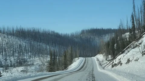 Road Trip Through The Icefields Parkway, Jasper National Park, Alberta Stock Footage 197072007