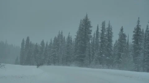 Road Trip Through The Icefields Parkway, Banff National Park, Alberta Stock Footage 197072897