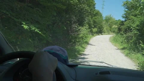 Road Trip Through a Lush Forest – Inside Car View Stock Footage 304578134