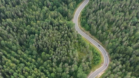 Road Trip. Winding Road Through a Forest. Vídeos de archivo 116823549
