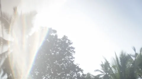 Road in a tropics Vidéo 41133318