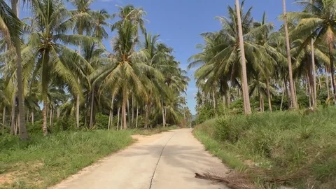 Road in the tropics Stock Footage 112424813