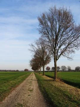Road typical landscape for The Netherlands Stock Photos