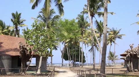 Road under Nice palm trees in the blue sunny sky. Stock Footage 43015134