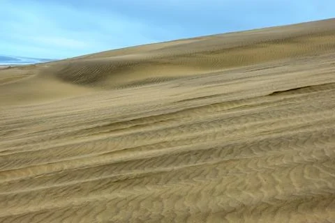 Off-road vehicle tyre track patterns in sand-dunes at Ripiro Beach near Pou.. Stock Photos