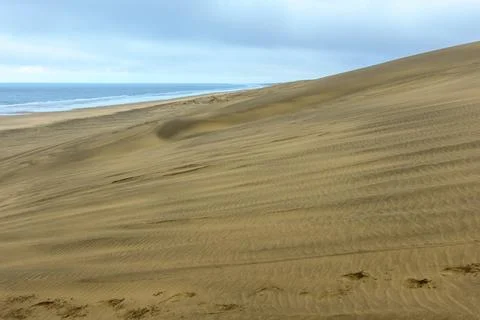 Off-road vehicle tyre track patterns in sand-dunes at Ripiro Beach near Pou.. Stock Photos