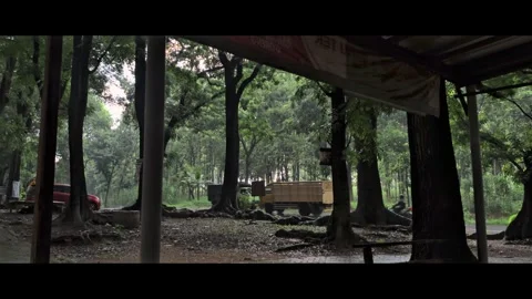 Road vehicles after rain in the forest Stock Footage 291359180