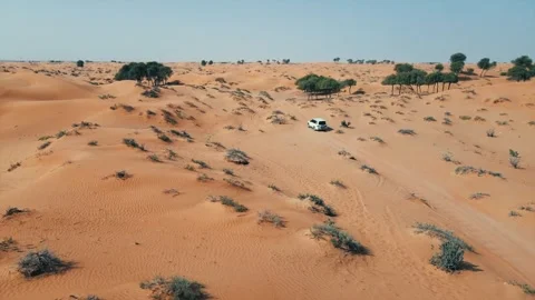 Off-road vehicles navigate sand dunes during a desert safari in the UAE. Stock Footage 333482019