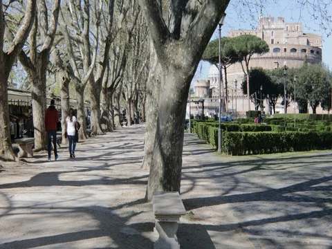 Road with the view of an ancient monument in Rome, in the fall Stock Footage 73993301