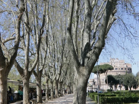 Road with the view of an ancient monument in Rome, in the spring Stock Footage 73995211