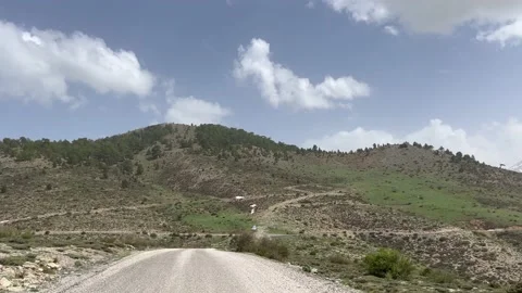 Road view from behind SUV car on mountain road Stock Footage 213668037