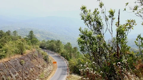 Road view on doi inthanon mountain , chiangmai Thailand Stock-Footage 87657488