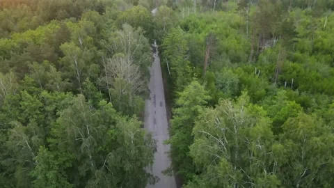 Road view Stock Footage 200006062