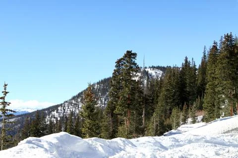 Road View Stock Photos