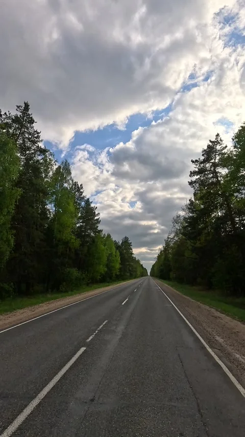 Road view on a summer day. Highways, roadside and white road line markings. Видео 336028081