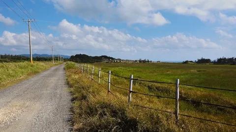 Road view of summer time. landscape of kenting in taiwan Stock-Footage 99068115