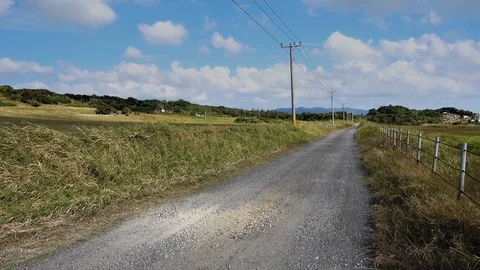 Road view of summer time. landscape of kenting in taiwan Vidéo 99068125