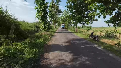 Road view of the Todanan sub district, Blora, Central Java, Indonesia Video stock 333779589