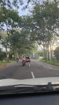 Road View With Trees Foto stock