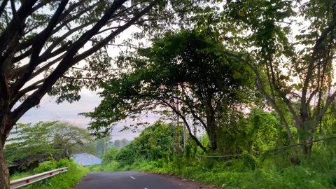 Road view with trees in a small city in indonesia Stock Footage 290239572