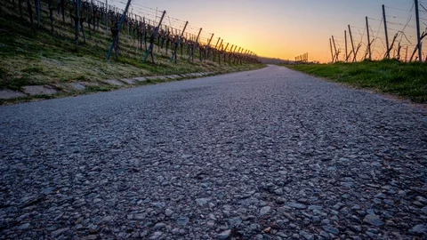Road in a vineyard in dawn Stock Footage 128853898